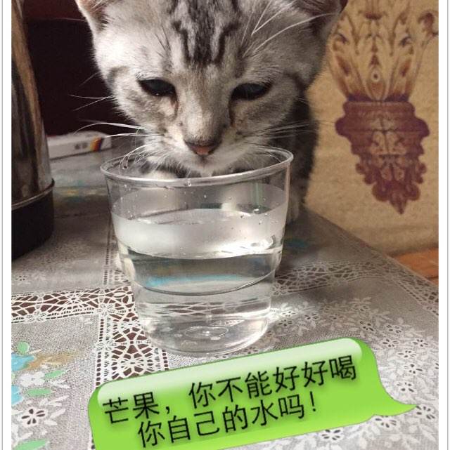 办理日本东北女子大学文凭毕业证